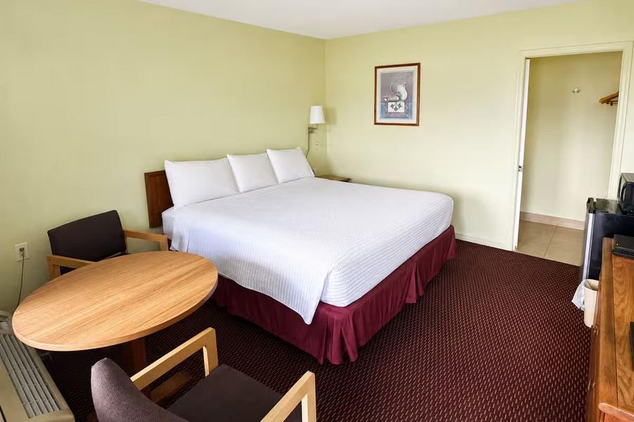 Room - 1 King Bed